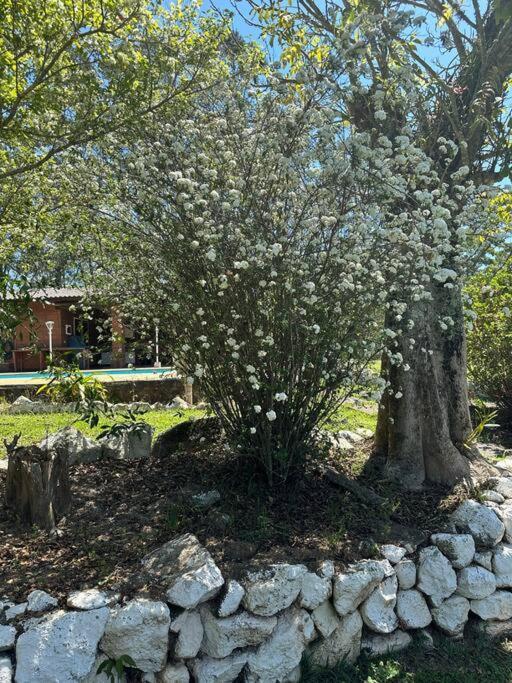 Sitio Beija Flor Em Sao Roque Vila Exterior foto